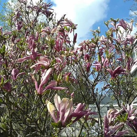 Bed & Breakfast Maria Rotterdam